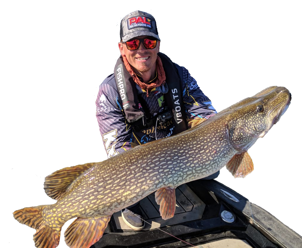 Интернет-магазин ELISEEVFISHING